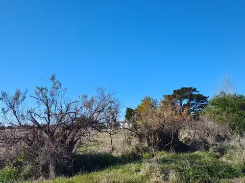Marquez 1800