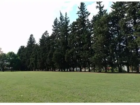 Terrenos a la venta en la localidad de Susana, Santa Fe
