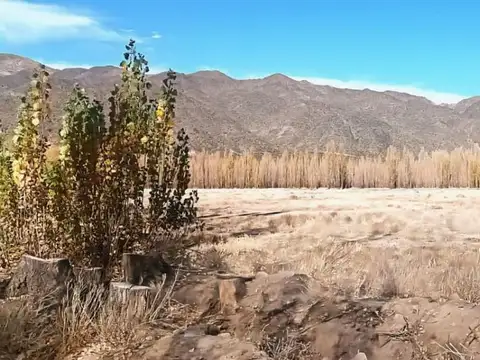 Terreno en Venta de 200000,0 m2