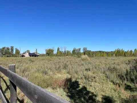 Terreno en Venta de 10000,0 m2