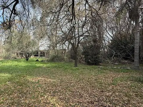 Campo en Lobos