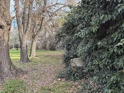 La porteña