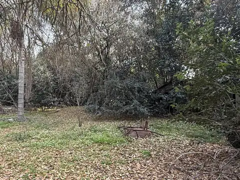 La porteña
