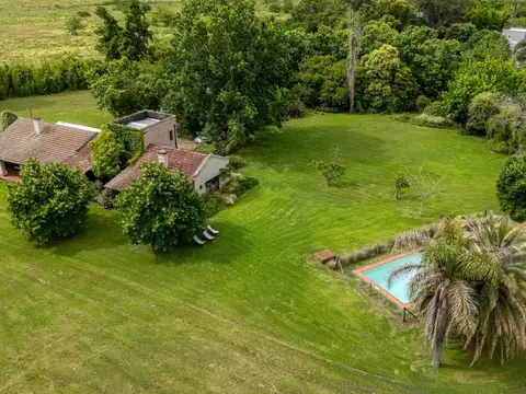 Rio Sauce Grande 1000