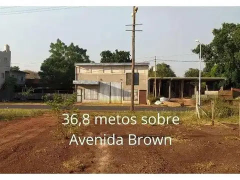 BROWN Y VIVANCO