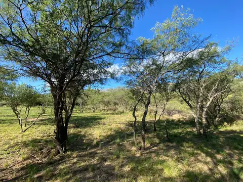 Terreno en Venta 30  mts Frente