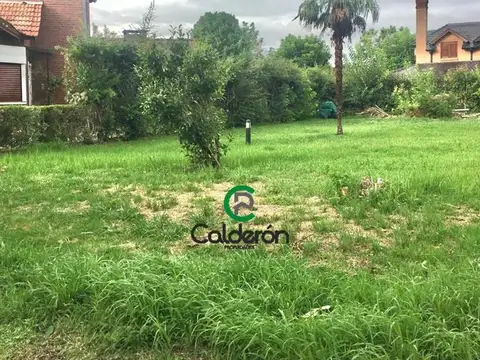 Almafuerte 3901 3900