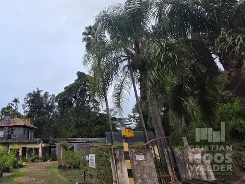 Colectora este al 2500