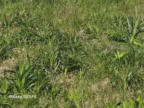Terreno en Venta 25  mts Frente
