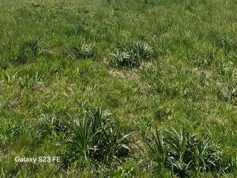 Terreno en Venta 12  mts Fondo