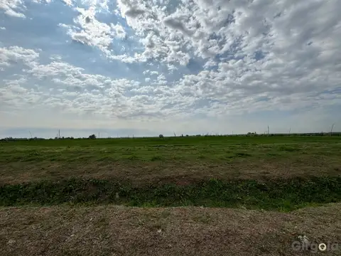 Av. Dr. Arturo Frondizi Parque Industrial 100