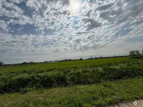 Terreno en Venta 99,98  mts Fondo