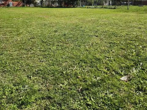 Terreno en Venta 39  mts Fondo