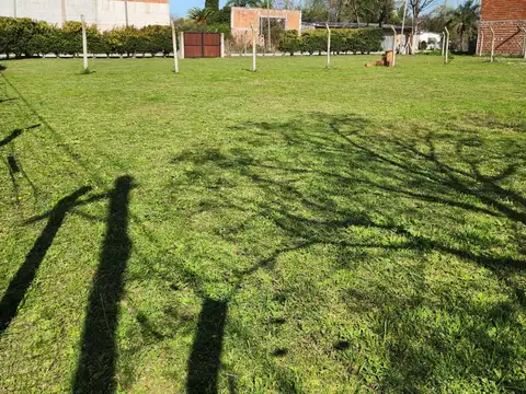 Astelarra