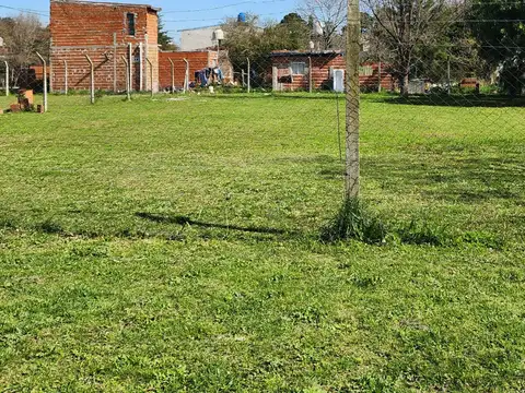 Astelarra