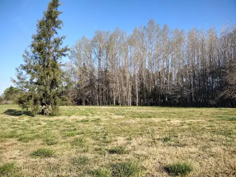 Venta. Lote 4.200 M2. Parque Industrial. Parada Robles. Exaltación de la Cruz