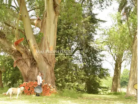 Terreno en Venta 10  mts Frente