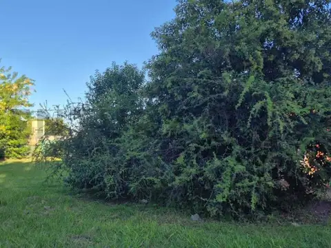 Terreno en Venta de 400,0 m2