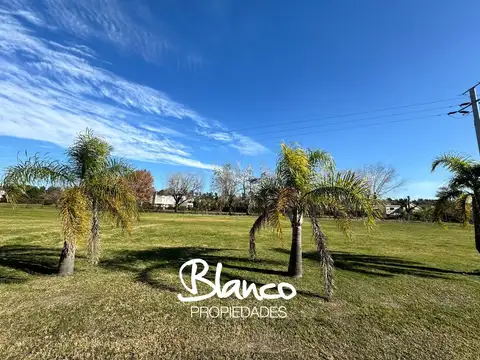 Campo Grande 100