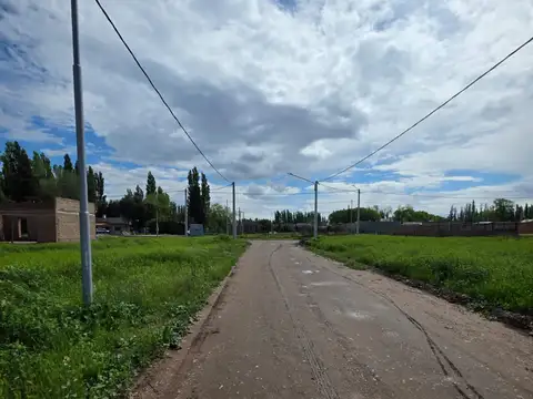 Pomona y Los Incas