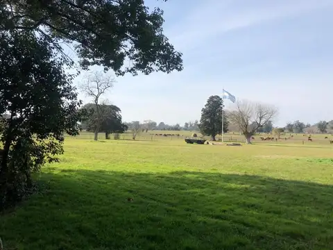 Lote En Venta Pereyra Iraola Berazategui