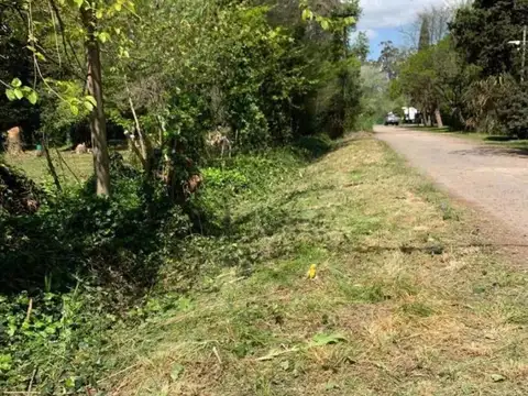 Terreno en Venta 25  mts Frente