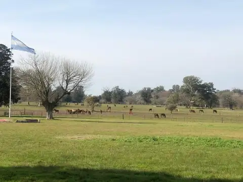 Lote en venta Pereyra Iraola Berazategui