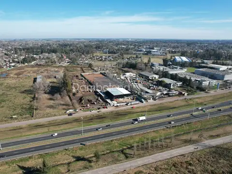 Local en Alquiler A Estrenar