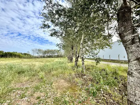 Autopista Rosario Buenos Aires