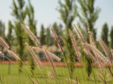 Terreno en Venta de 603,0 m2