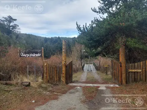 Chacra 80 has, Los Repollos, Rio Negro