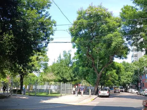 Local  61m2 en alquiler en San Cristobal