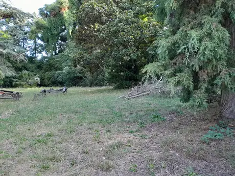 Terreno en Venta en Lomas de San Isidro, USD 450.000