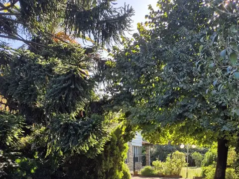 Terreno en Venta de 202,0 m2