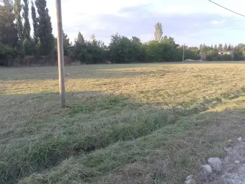 409 3865