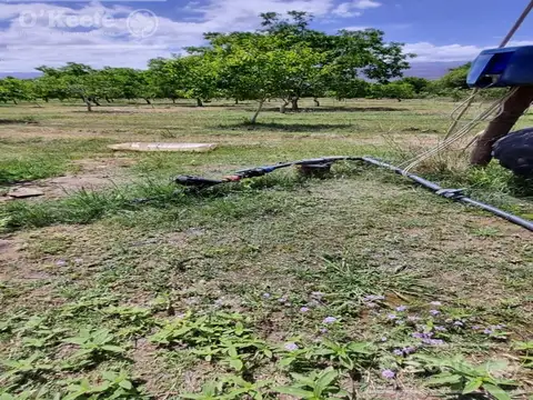 Chacra en venta de 37 has en La Rioja