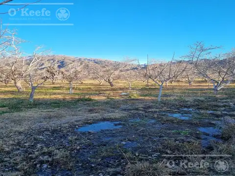 La Rioja