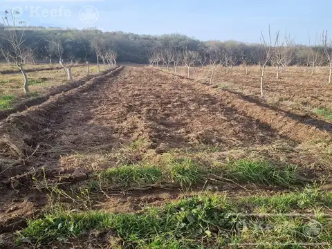 La Rioja