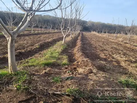 La Rioja