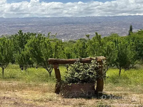 Chacra en venta de 37 has en la rioja