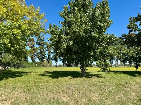 Terreno en Venta de 1114,0 m2