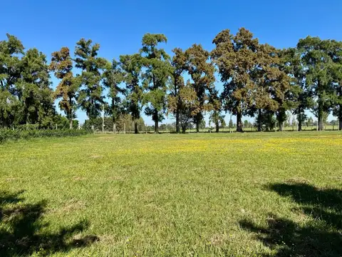VENTA LOTE MANZANARES CLUB DE CAMPO LOS PALENQUES