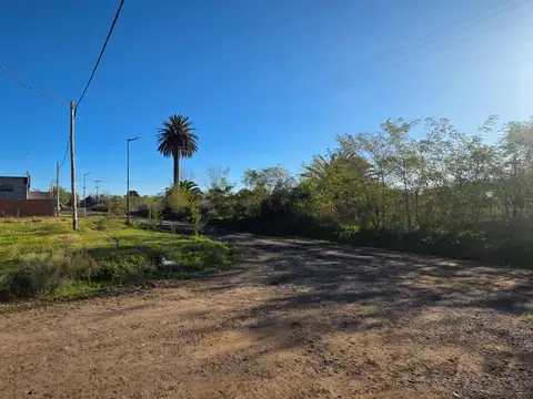 Terreno en Venta de 304,0 m2