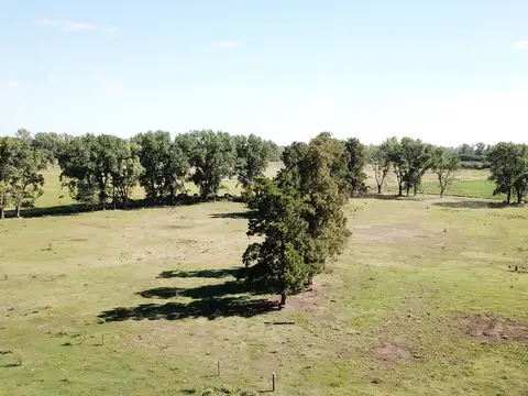 Campo en Venta Agricola