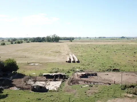 Campo en Venta de 44  ha