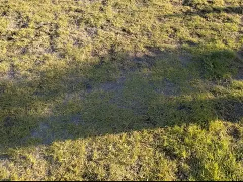 Terreno en Venta en El Carrizal de Abajo, USD 30.000
