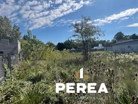 Lote en calle Ambrosetti