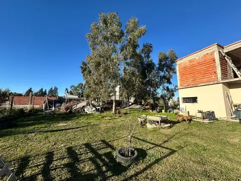 Calle 1443 100