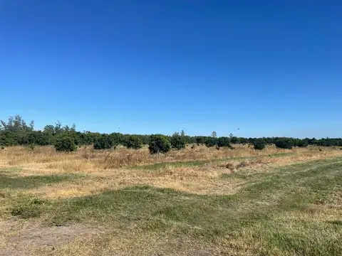 VENTA QUINTA CÍTRICA CONCORDIA