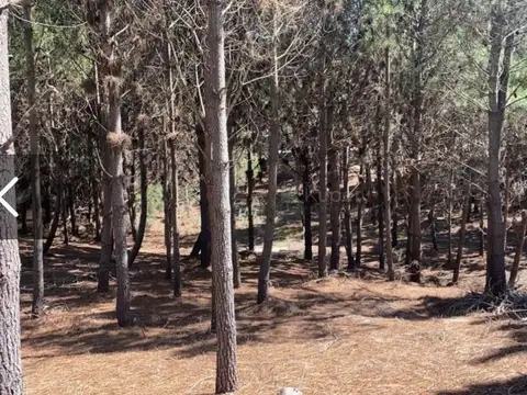 Terreno Lote  en Venta en Maritimo II, Costa Esmeralda, Costa Atlántica